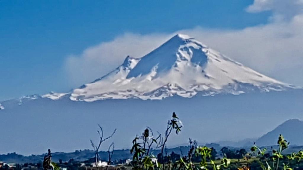 0d3ef1c2-650a-4cd3-8ce8-3bd080ea8e1b