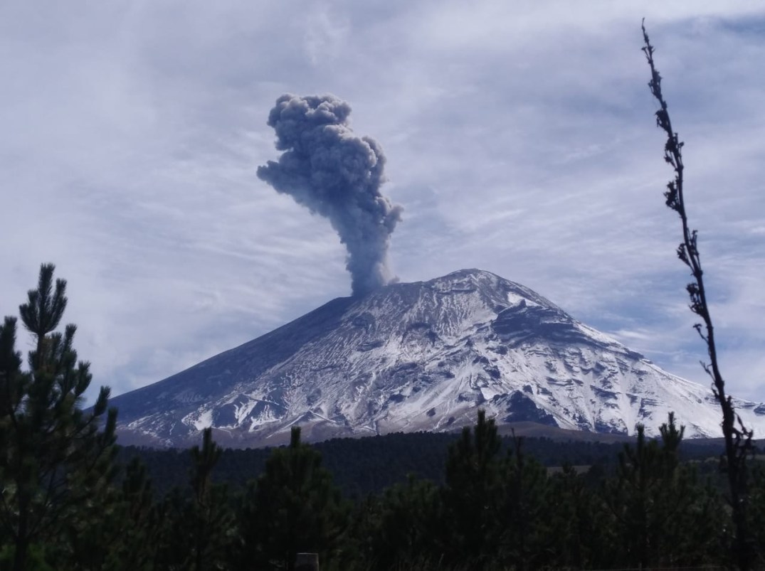 96d2ffbd-ce74-4f9d-9056-e57ad552873e