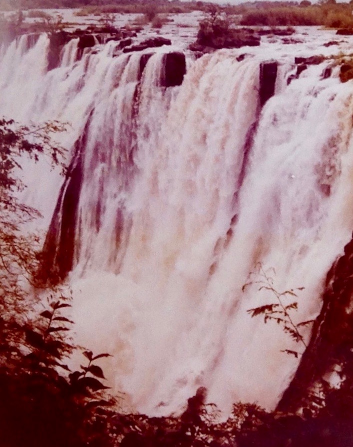 48928977-3FDB-4123-8733-C834A6C06CA8