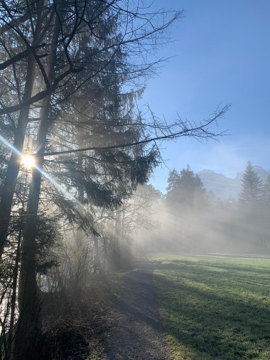 90433268-f4da-4888-a9e7-40c4a653c4ac